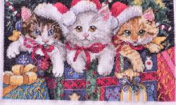 Featured image of post DIMENSIONS