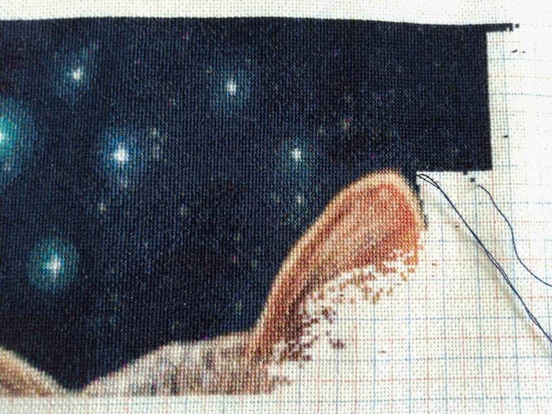 The Fortune Teller Max Colors