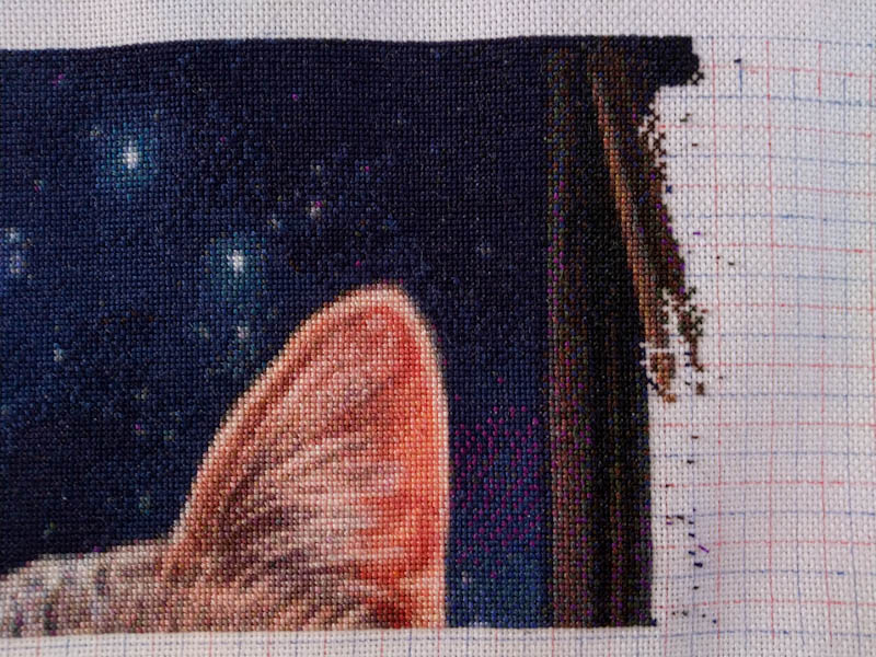 The Fortune Teller Max Colors