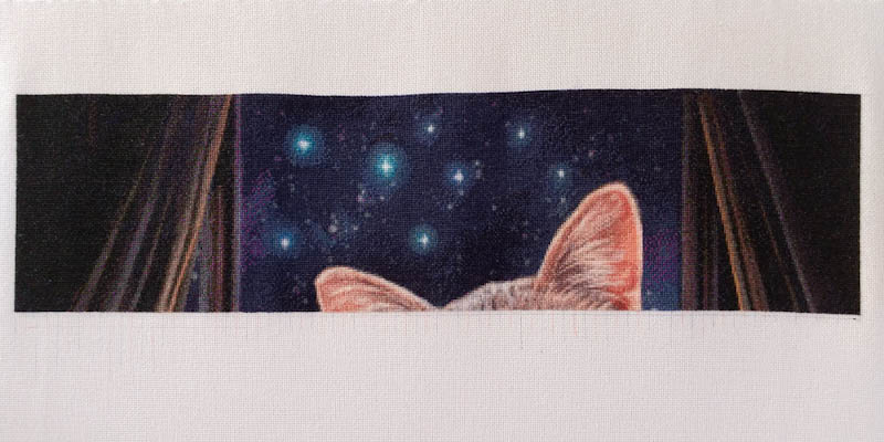 The Fortune Teller Max Colors